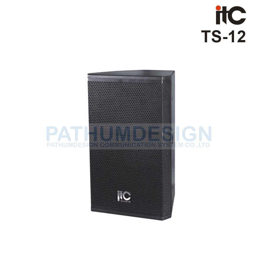 TS-12 Professional Two Way Loudspeaker 250w TS-12 Professional Two Way Loudspeaker 250w